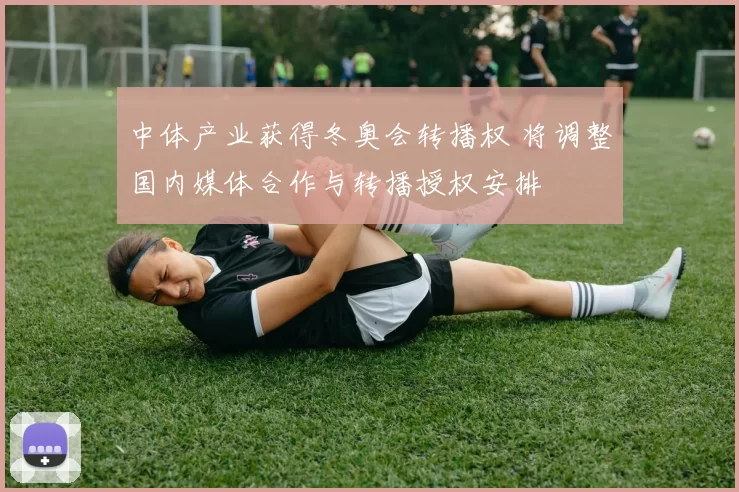 中体产业获得冬奥会转播权 将调整国内媒体合作与转播授权安排